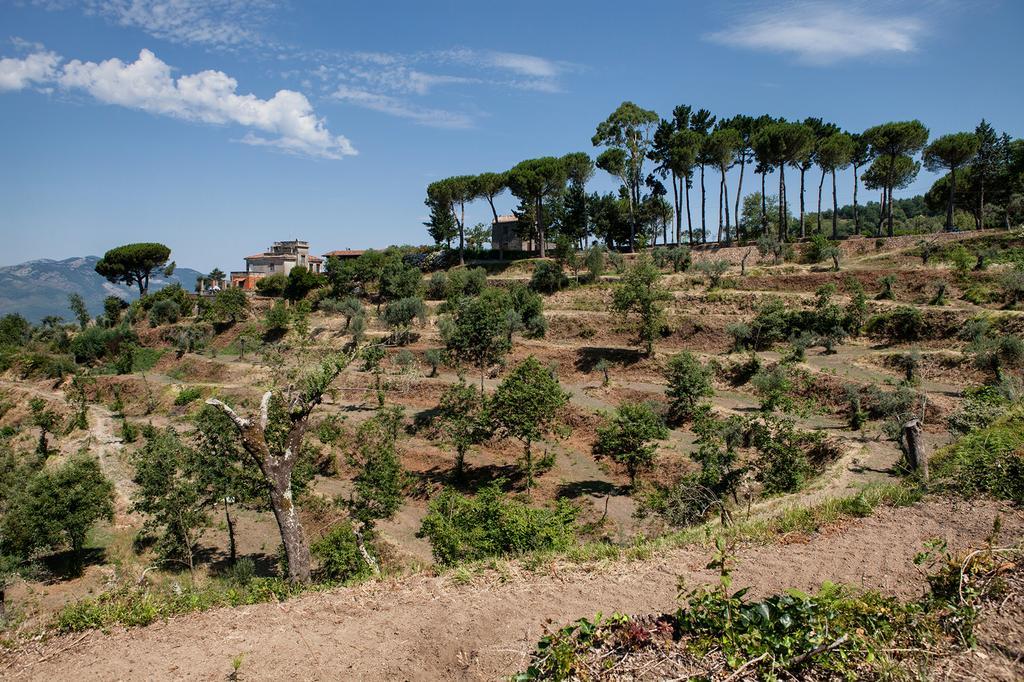 Agriturismo La Molara Sessa Aurunca Exterior foto