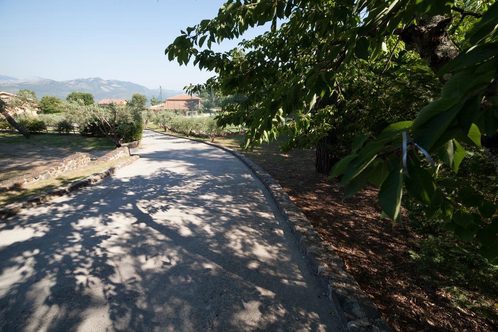 Agriturismo La Molara Sessa Aurunca Exterior foto